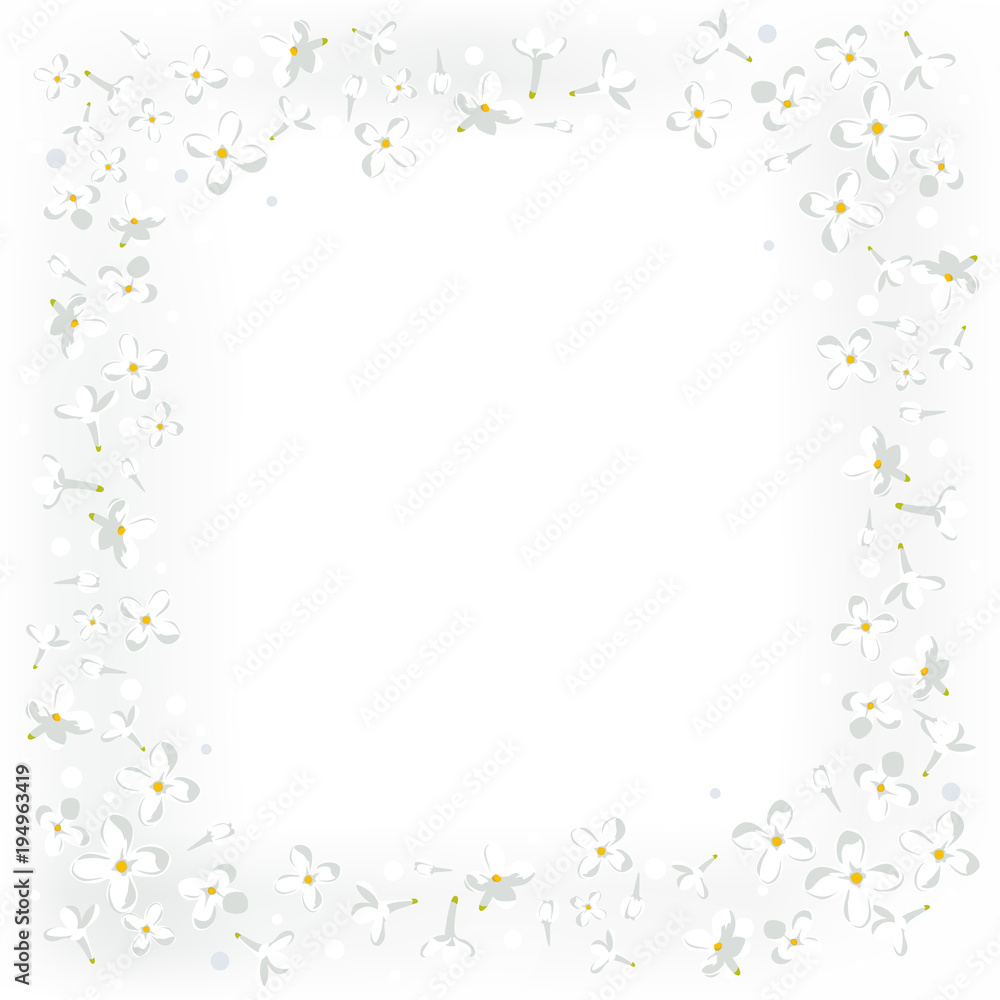 Floral background. White flowers. Vortex. Petals. Small. Border. Frame. Spring. Summer. Floral background. White flowers. Vortex. Petals. Small. Border. Frame. Spring. Summer.
