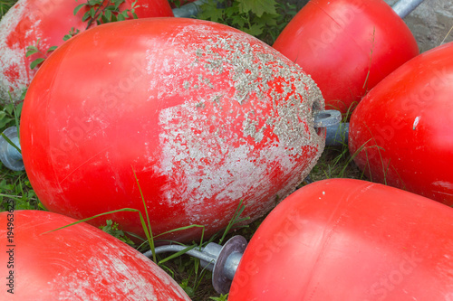 A white wire-haired dog of spinone italiano breed poses for a portrait over background of red plastic buoys on the coast of Vallisaari island in Finland photo