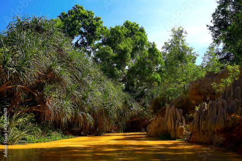 A river in the tropics