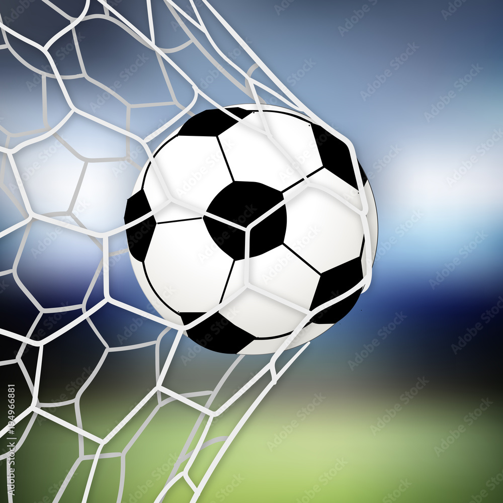 Fototapeta premium Tor im Netz - Stadion