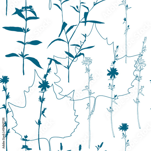 Summer flowers, herbs and leaves floral vector seamless pattern. Realistic botanical background with hand drawn chicory flowers, maple leaves and herbal grasses.