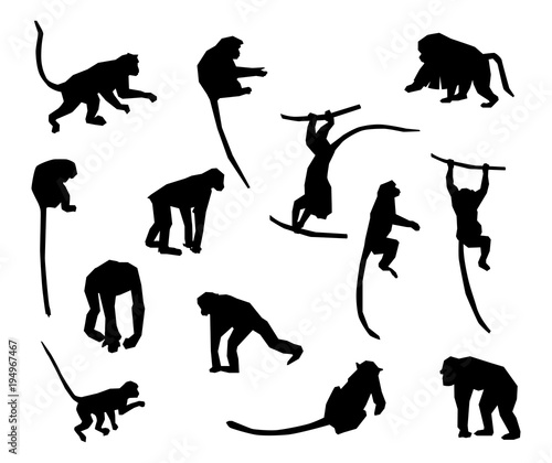 Ape and Monkey collection - vector silhouette. photo