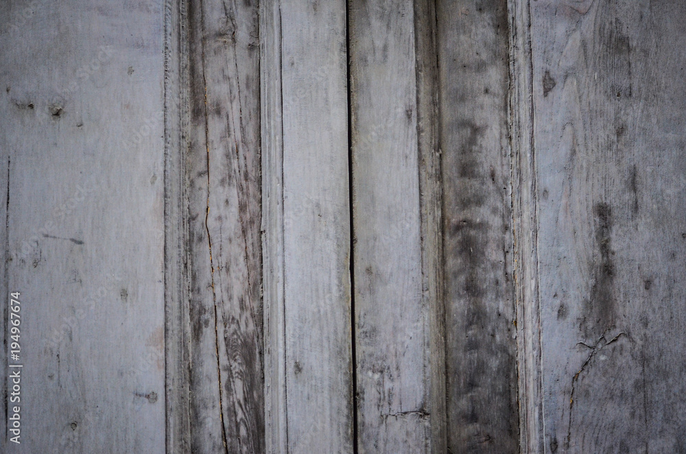 ancient doors - close up view