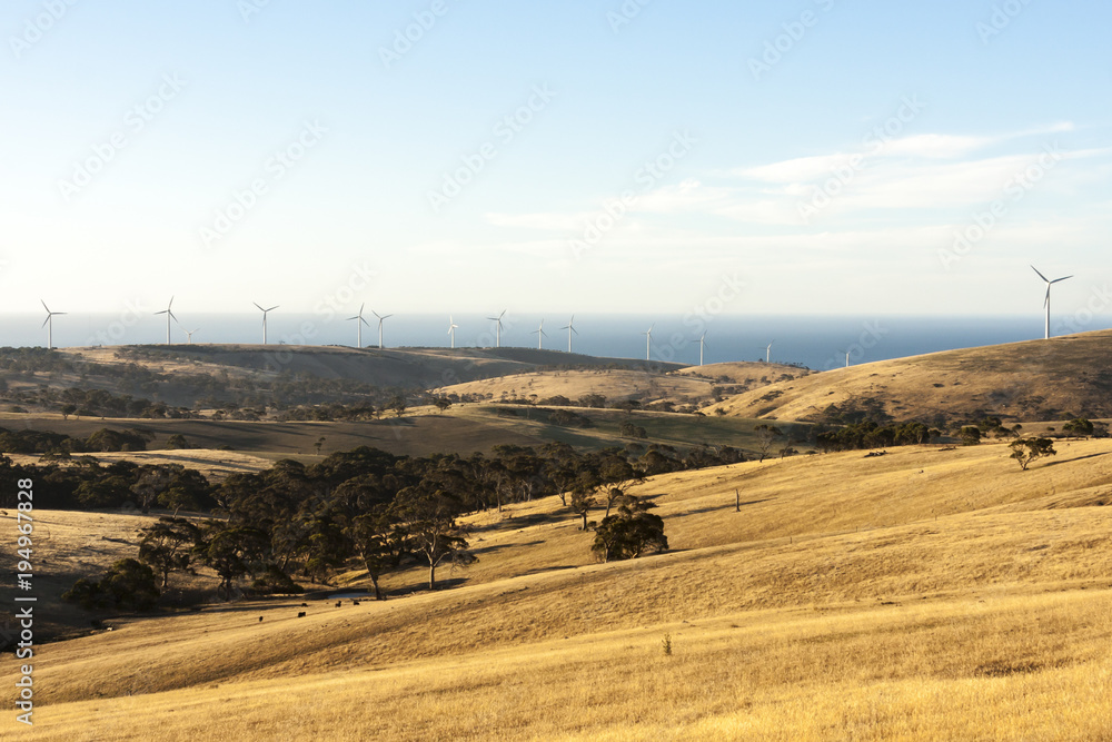  Wind turbines standing in a row on the meadow overlooking the ocean. Western Australia.