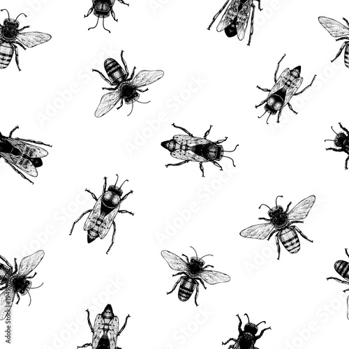 Vector retro hand drawn seamless pattern with crawling bees. Vintage style. Inteligent illustration © lubovchipurko