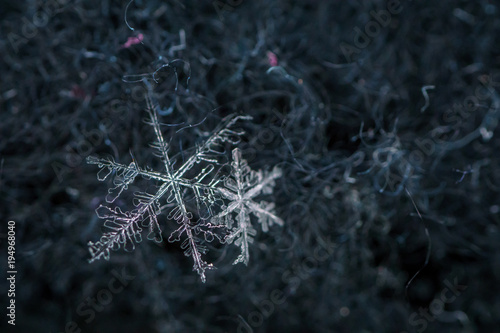 Beautiful detail of a snowflake, a single ice crystal in Paris winter, falls through the Earth's atmosphere as snow. Shining hexagonal crystals shape, used as a symbol of snow or crystal in science