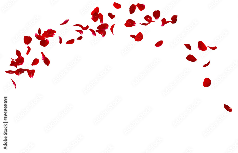 Fototapeta premium Czerwone płatki róż lecą w kółko. W środku wolne miejsce na Twoje zdjęcia lub tekst