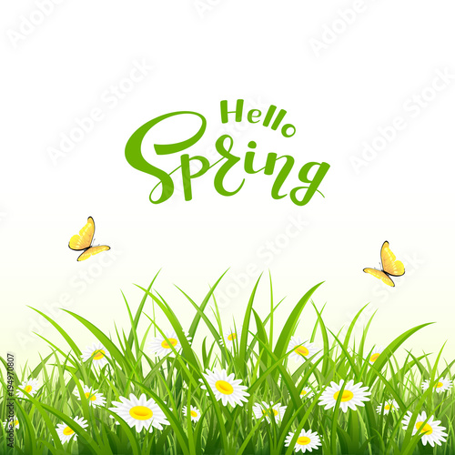 Lettering Hello Spring and natural background with butterfly and flowers