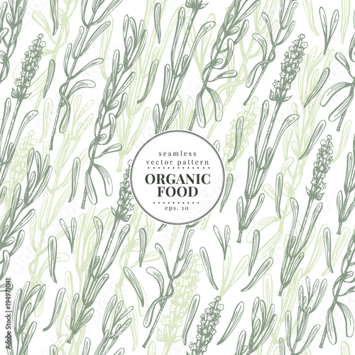 Lavender. Vector seamless pattern for design menu, packaging and recipes. Hand drawn vintage illustration. Botanical banner template.