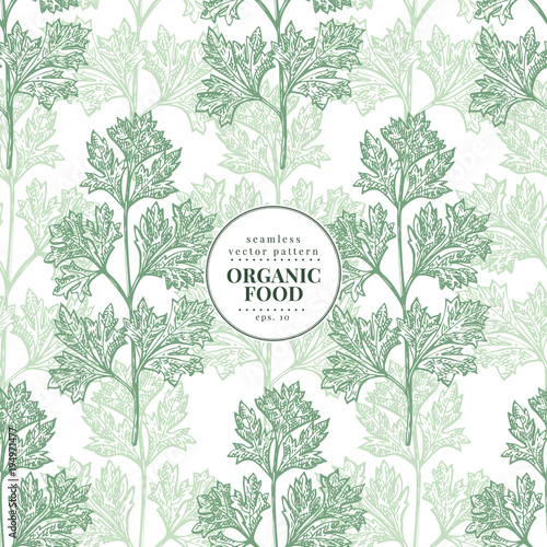 Parsley. Vector seamless pattern for design menu, packaging and recipes. Hand drawn vintage illustration. Botanical banner template.