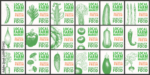 Labels with various vegetables. Set templates price tags for shops and markets of organic vegetarian food. Vector illustration art. Vintage. Hand drawnf nature objects.