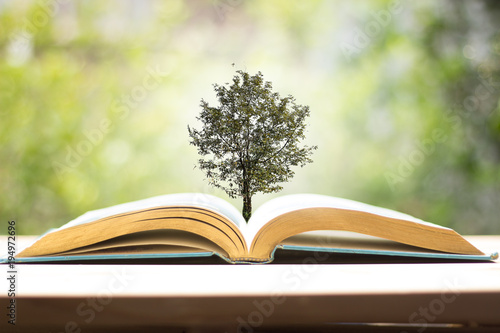 A book with trees sprouting in the concept of education about reading knowledge. And the concept of nature conservation. © ketchana