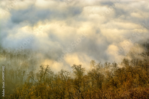 Yellow autumn forest on a hill slope against sunlit clouds