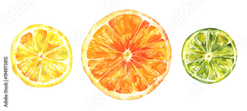 Watercolour citrus fruits, lemon, orange and lime, hand drawing, isolated on white