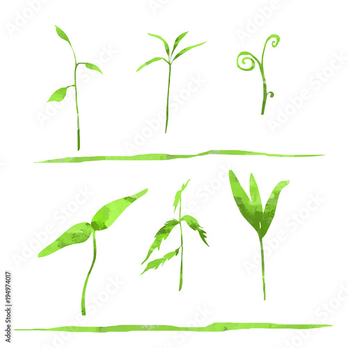 Fresh green watercolor sprouts sketch