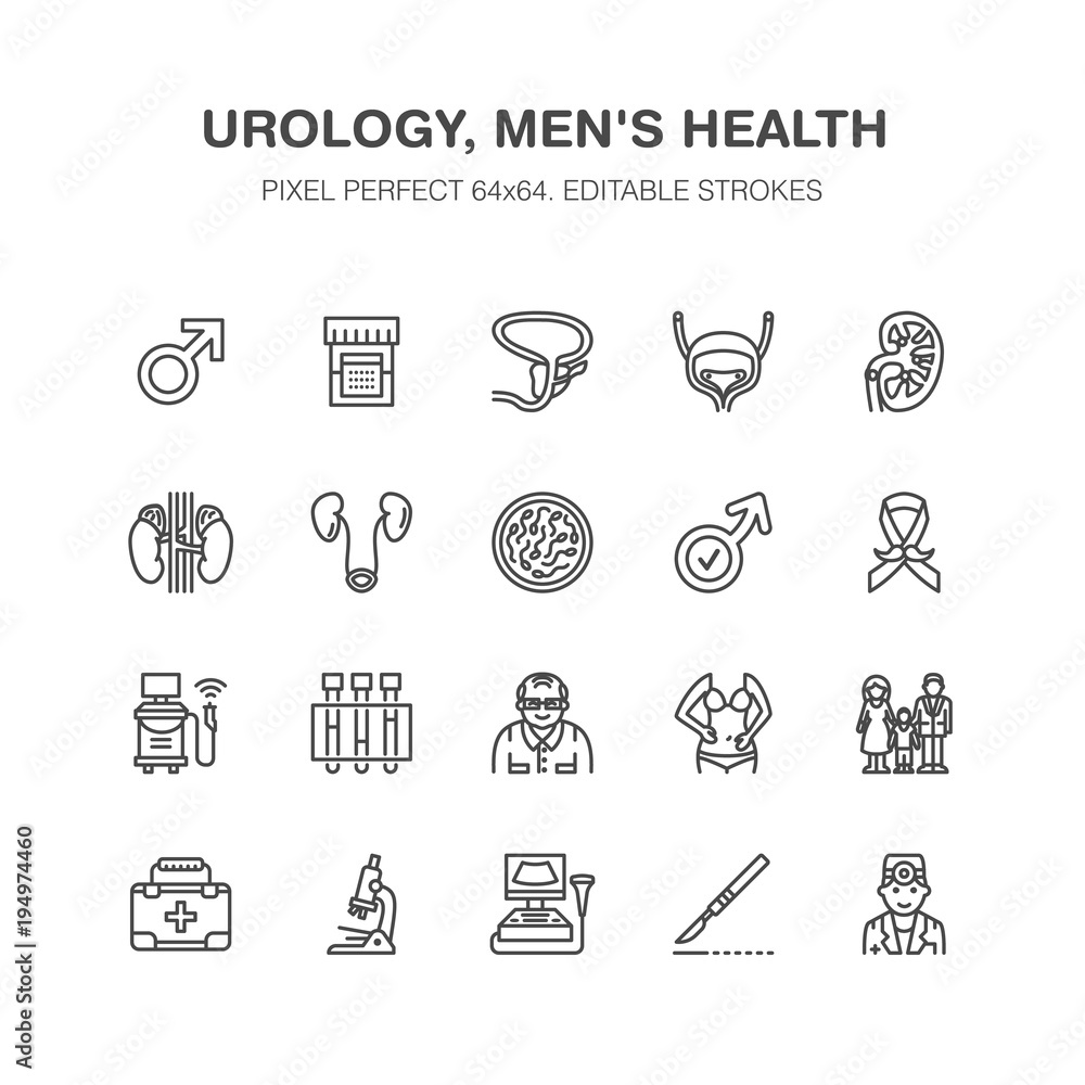 Urology vector flat line icons. Urologist, bladder, kidneys, adrenal glands, prostate. Linear medical pictograms with editable stroke for clinic, potency problem. Pixel perfect 64x64.