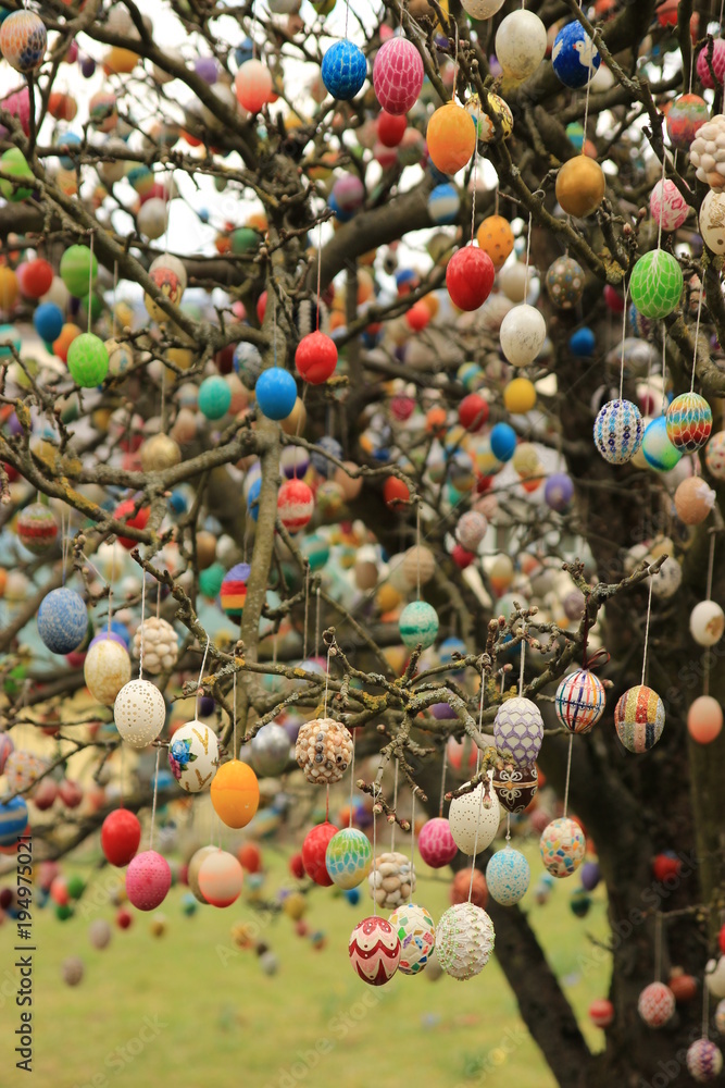 Obraz premium Easter eggs on the tree