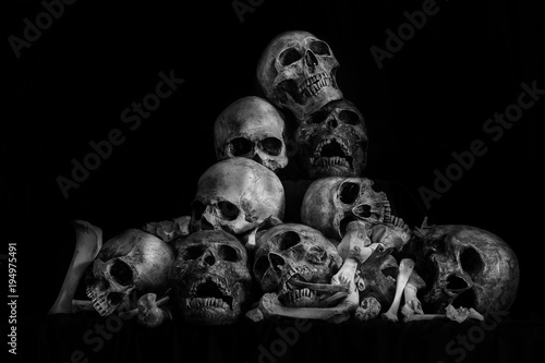 Pile of skulls and bone on dark background / Still life style