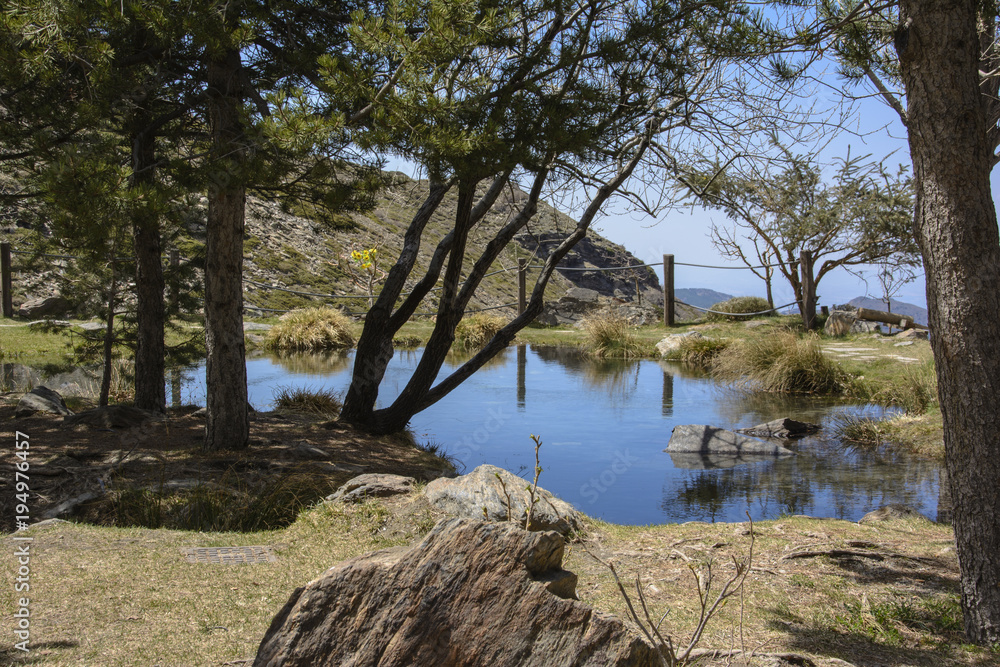 little pond in the mountains, surrounded by trees little pond in the mountains, surrounded by trees