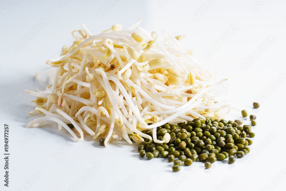 Bean sprouts Bean sprouts