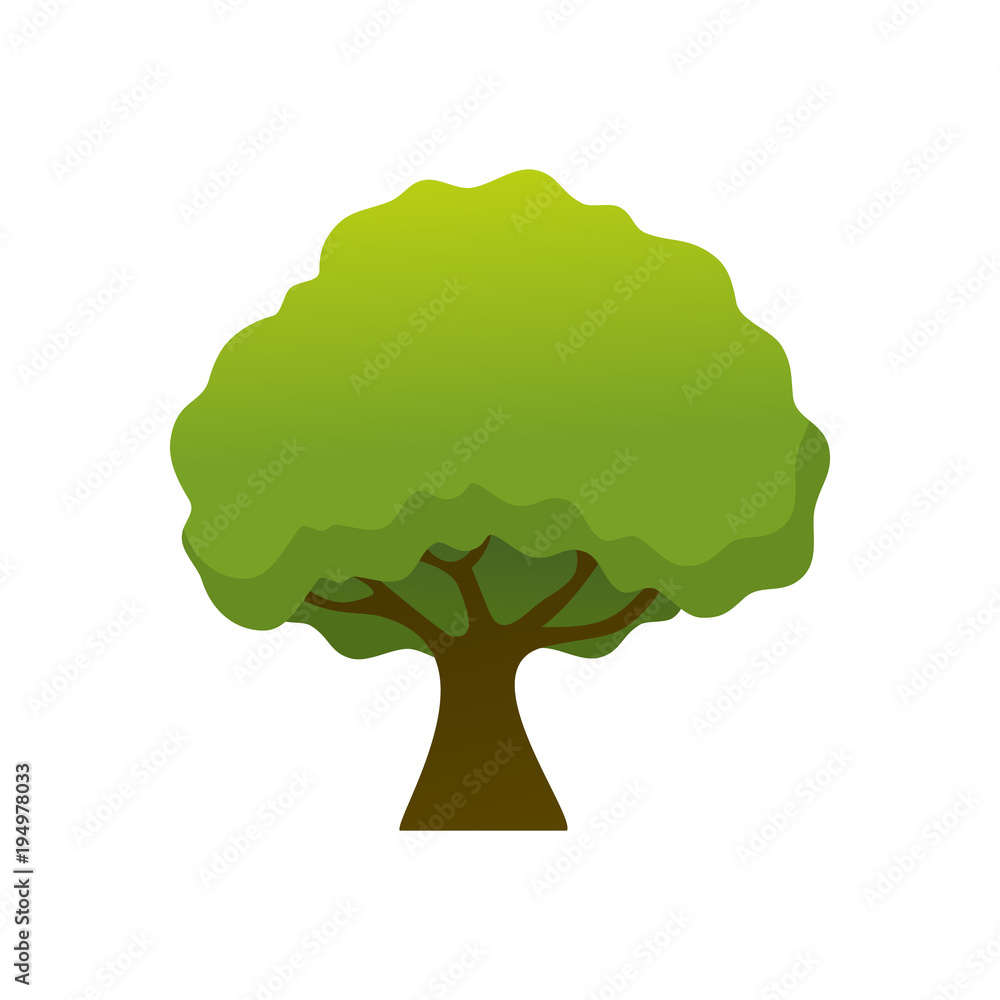 Isolated Simple Shady Tree Plant Illustration Isolated Simple Shady Tree Plant Illustration