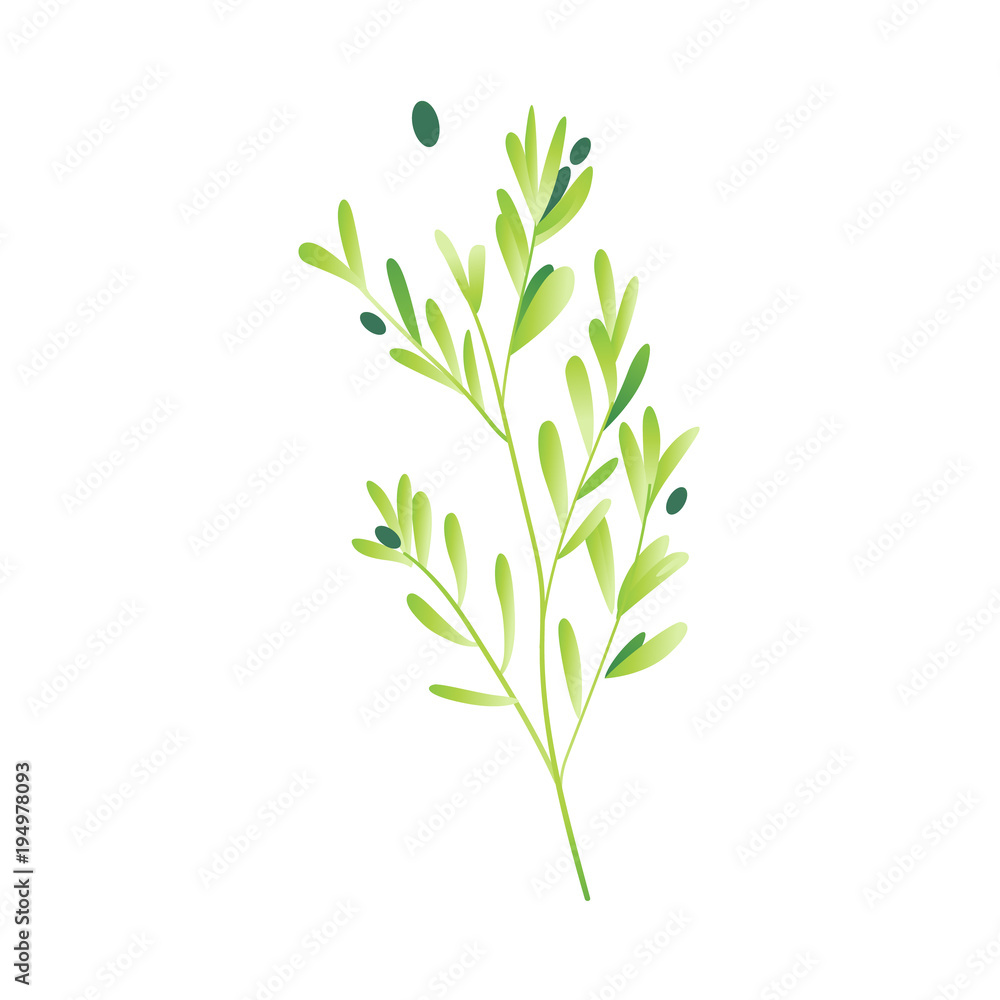 Obraz premium Vector cartoon abstract green plant icon. Wild meadow field grass garden spring easter, women day romantic holiday, wedding invitation card decoration summer floral Illustration white background
