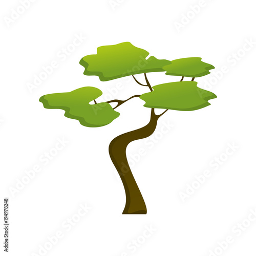 African Isolated Jungle Tree Plant Illustration