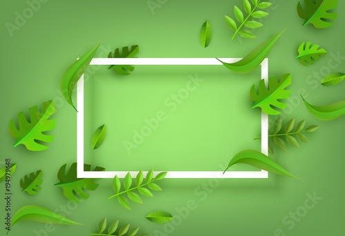 Vector green leaves frame background template, white rectangle. Abstract natural decoration pattern. Summer tropucal exotic jungle. Fern monstera paradise resort, holiday vacation, poster illustration