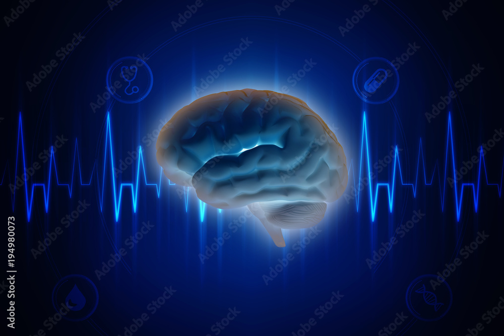 Human brain 3d illustration Human brain 3d illustration
