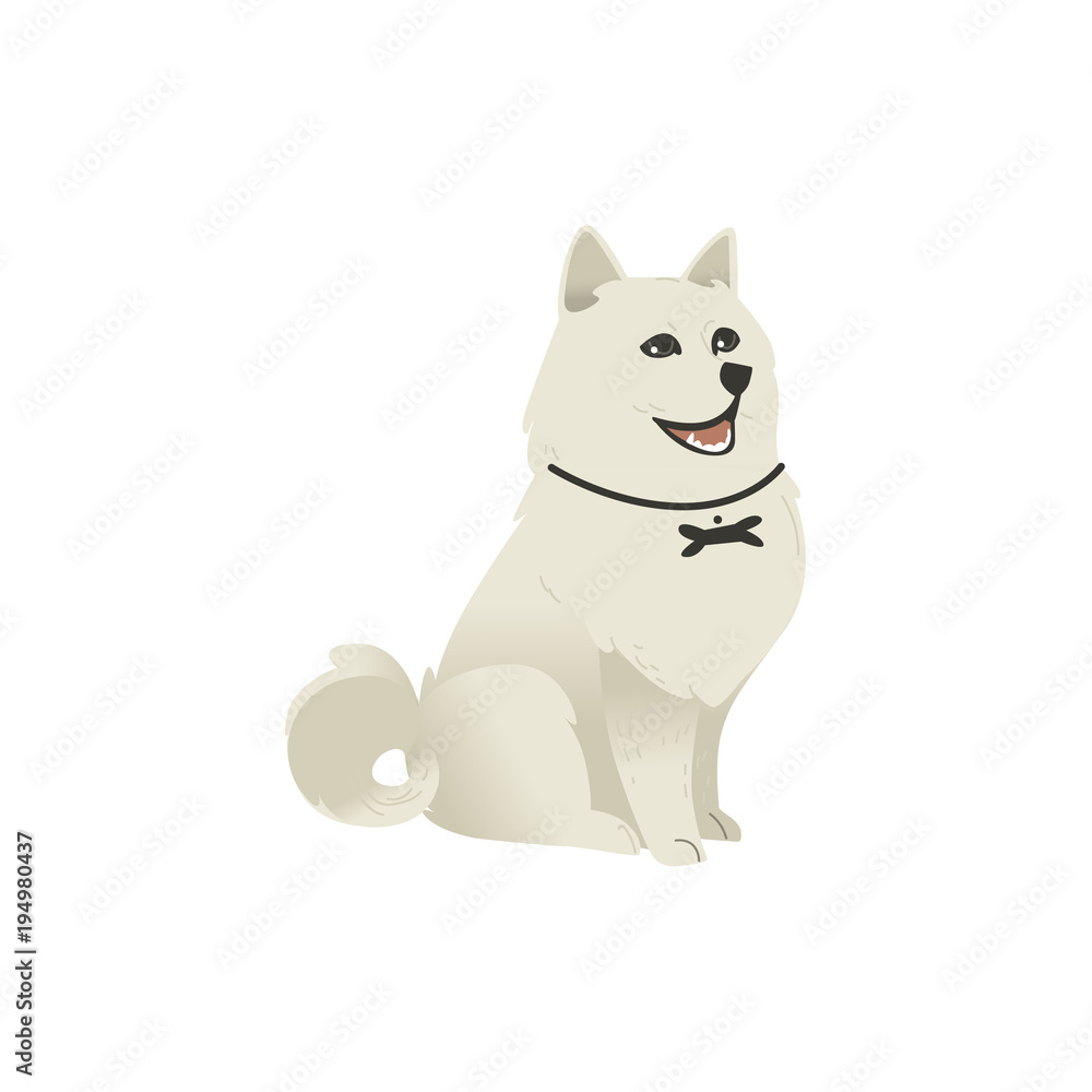 Obraz premium Cute fluffy little dog sitting straight, three quarters full length portrait, flat cartoon vector illustration isolated on white background. White fluffy dog, puppy character sitting and looking up