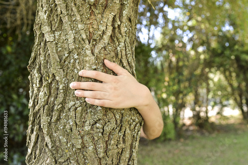 Child arm hugging a tree: concept image" love for nature" or "protect the environment" 