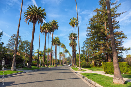 Fototapeta Beverly Hills street with palm trees, Los Angeles