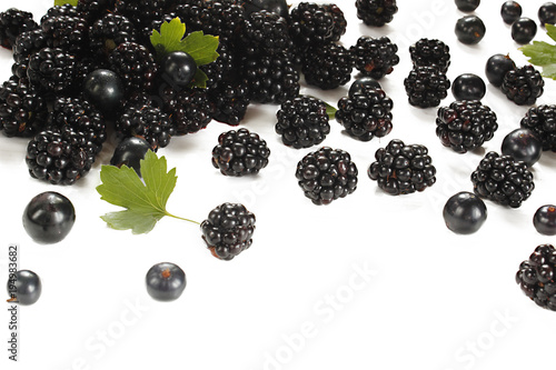 Blackberries isolated on white background fresh collected