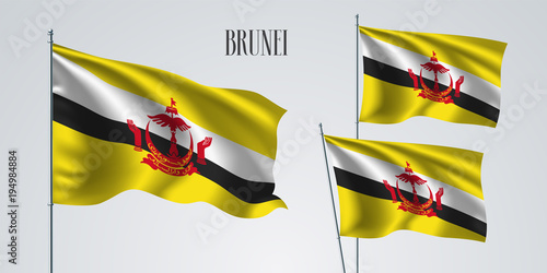 Brunei waving flag set of vector illustration