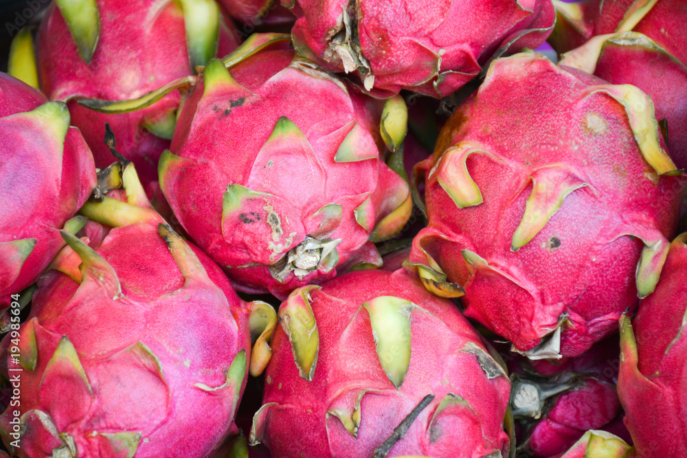 background of dragon fruit.Thailand background of dragon fruit.Thailand