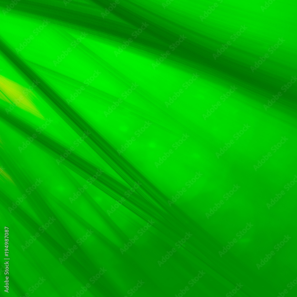abstract green background texture abstract green background texture