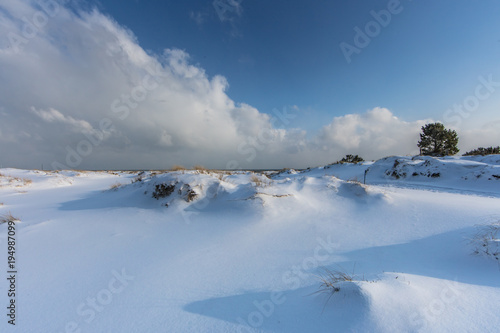 Fototapeta Naklejka Na Ścianę i Meble -  winterzauber am eer