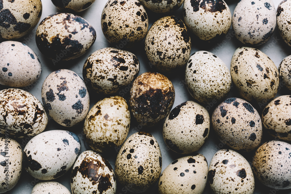 Group of quail eggs with dark spots laying together Group of quail eggs with dark spots laying together