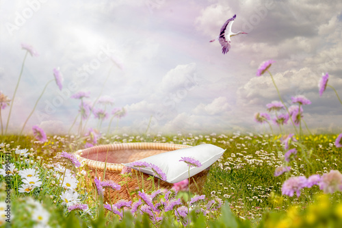 Neugeborenen Kulisse in einer schönen Blumenwiese mit fliegendem Storch.