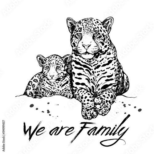Hand drawn sketch style leopard mother with cub. Vector illustration isolated on white background.