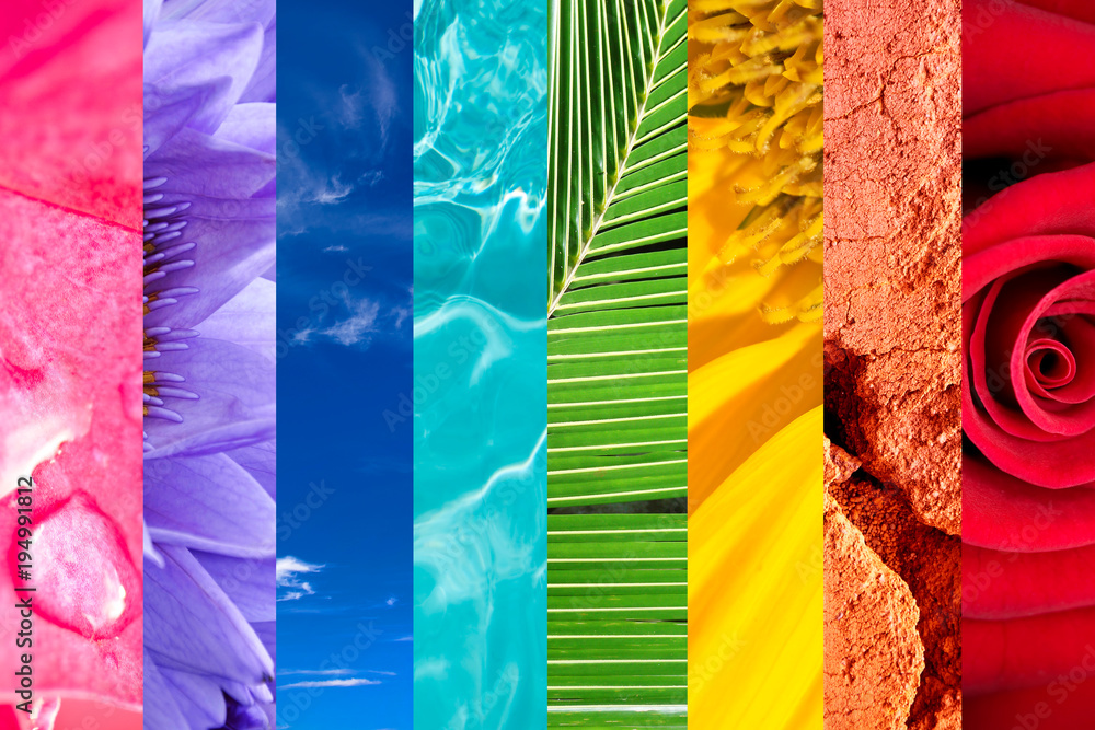 Rainbow of nature, colorful nature photo collage, vivid colors of nature