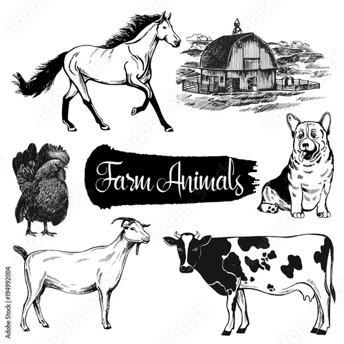 Set of hand drawn sketch style farm building and animals. Vector illustration isolated on white background.