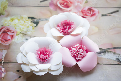 Paper flowers are perfect for bringing spring inside any time of the year. They're fun to create, look beautiful once complete and, better still, they last longer than fresh flowers!