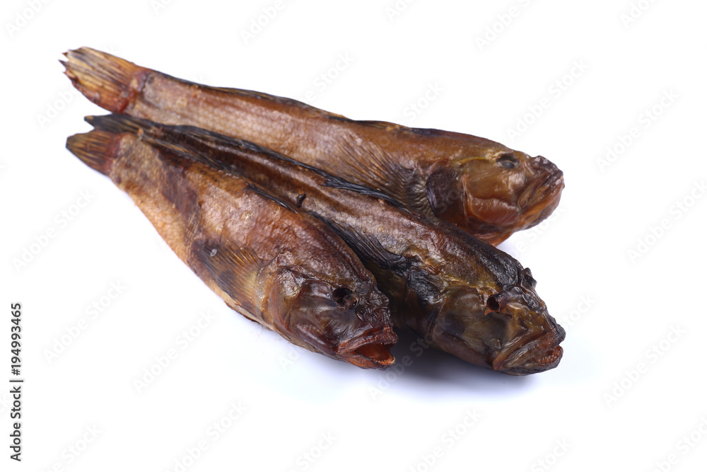 Three Marine Goby on a white background (isolated) Three Marine Goby on a white background (isolated)