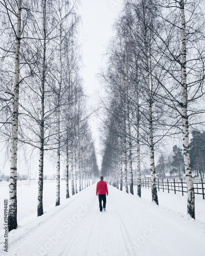 Man walking snowy road with birch trees at winter day in Finland