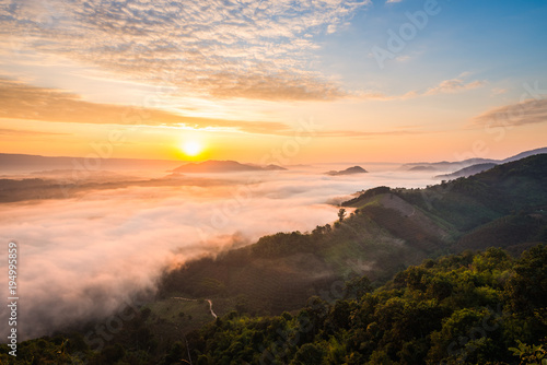 Sunrise and the mist in winter morning