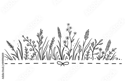 background with hand drawn herbs and flowers