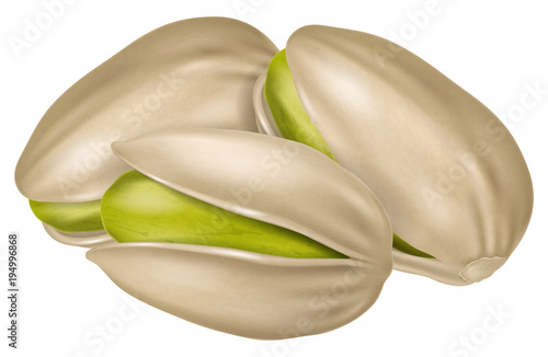 Pistachios. Vector illustration.