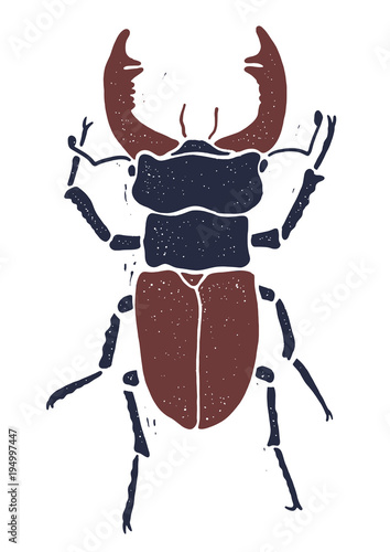 Stag-beetle linocut illustration, draw, ink, vector