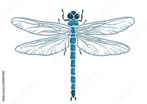 Dragonfly linocut linocut illustration, draw, ink, vector